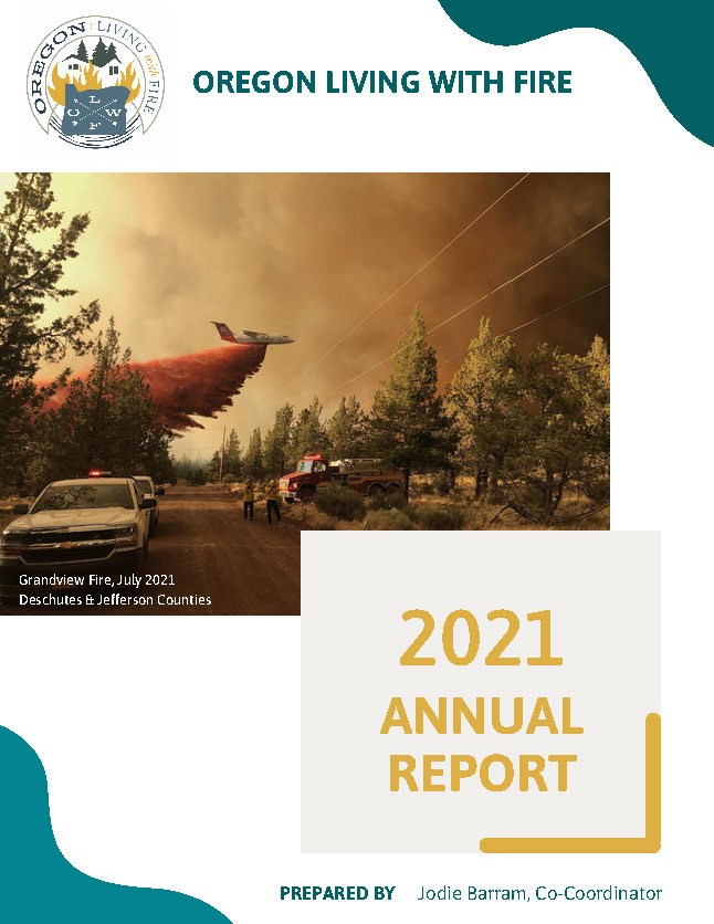 Cover page for report