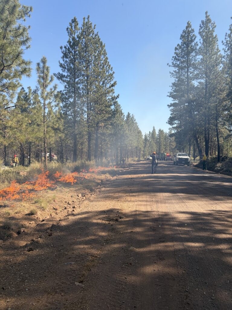 Photo of prescribed burning next to a dirt road.