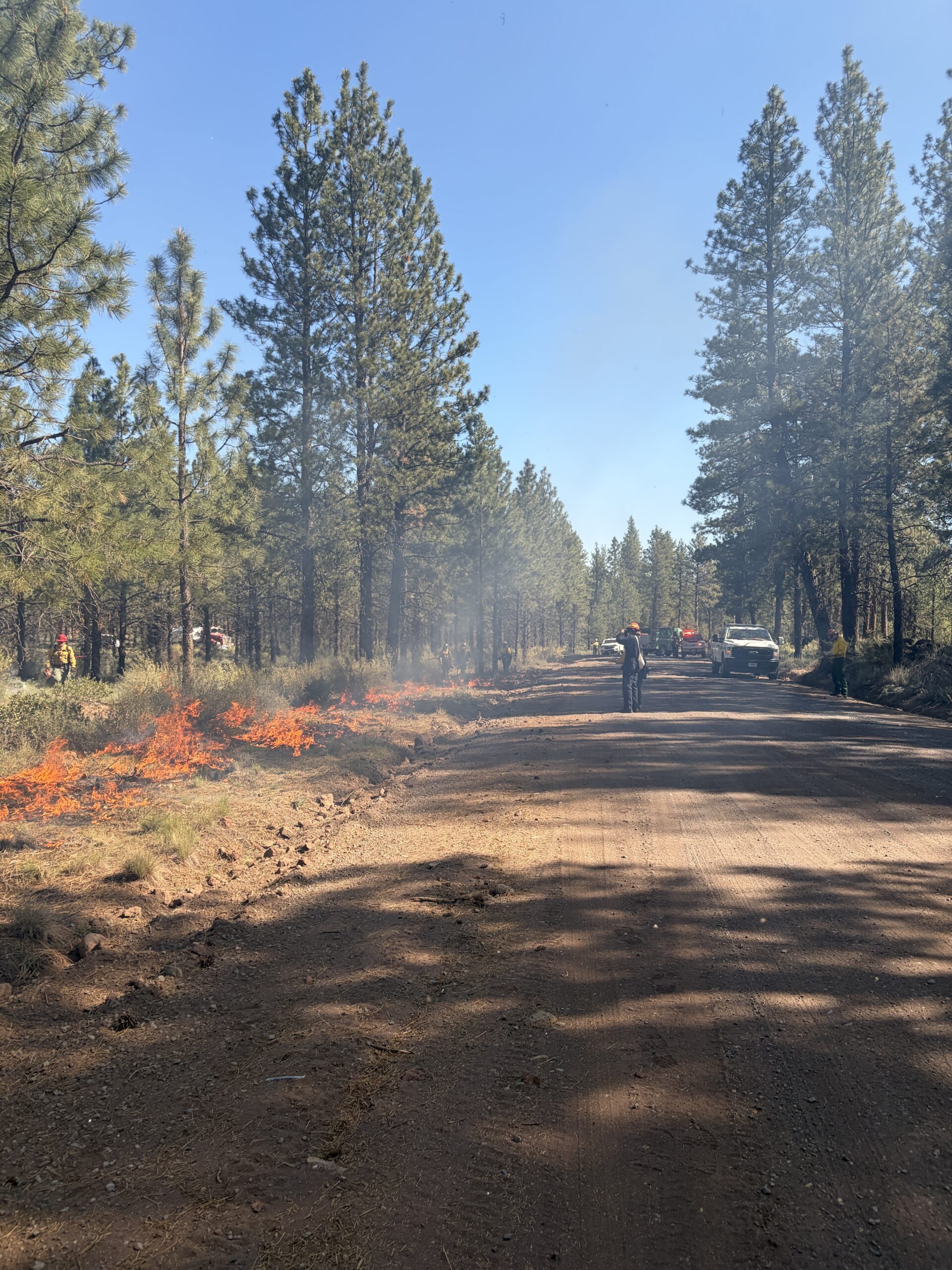 Photo of prescribed burning next to a dirt road.